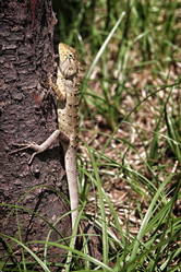 Similar image 7304150