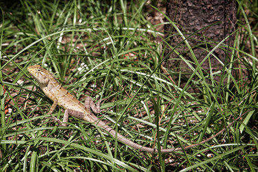 Similar image 7304159