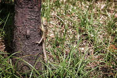 Similar image 7304162