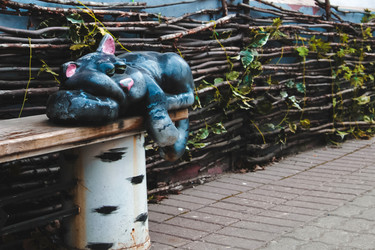 Similar image 7304205