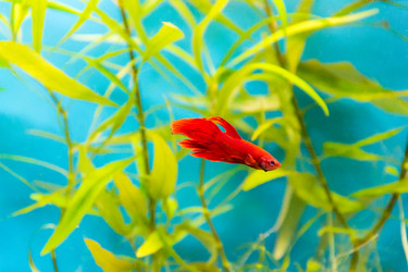 Similar image 7304218