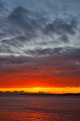 Similar image 7305544