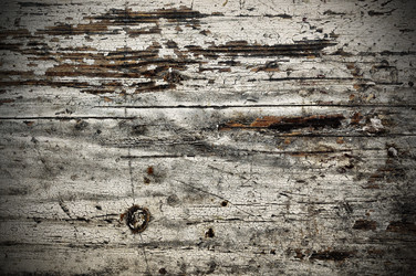 Similar image 7305561