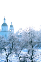 Similar image 7305612