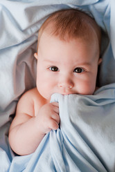 Similar image 7305806