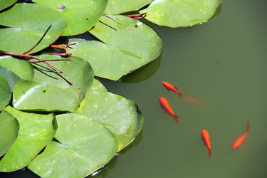 Similar image 7311642