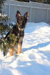 Similar image 7311757