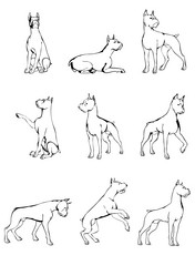 Similar image 7311861