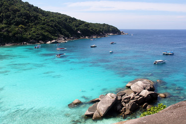 Similar image 7312366