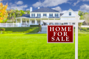 Similar image 7312743