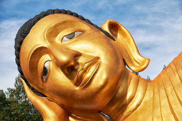 Similar image 7314238