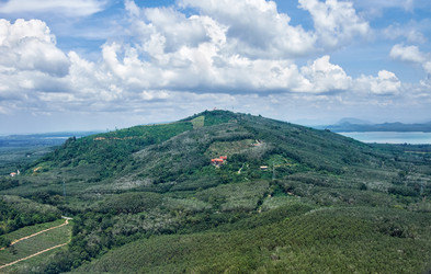 Similar image 7314246