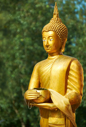 Similar image 7314258