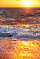 Similar image 7314286