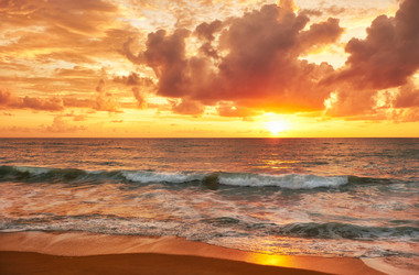 Similar image 7314288