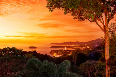 Similar image 7314295