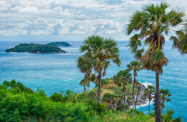 Similar image 7314296