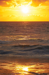 Similar image 7314299