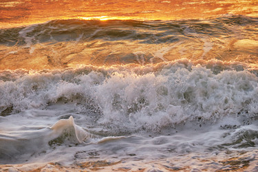 Similar image 7314320