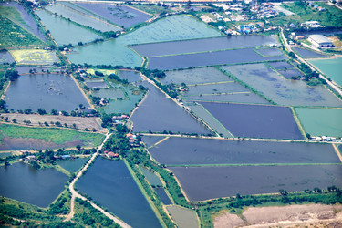 Similar image 7314324