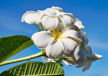 Similar image 7314342