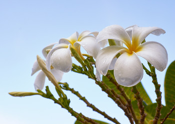 Similar image 7314385