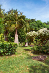 Similar image 7314395