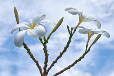 Similar image 7314476