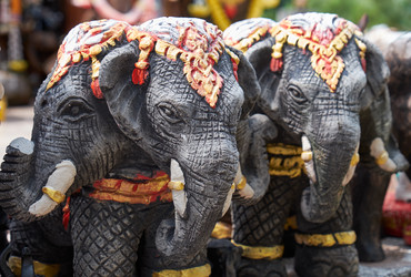 Similar image 7314477