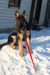 Similar image 7316774