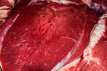 Similar image 7316778