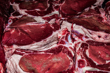 Similar image 7316781