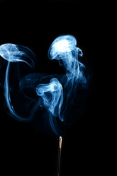 Similar image 7316983