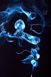 Similar image 7316988