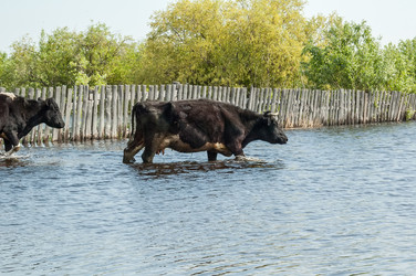 Similar image 7322402