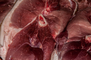 Similar image 7322464