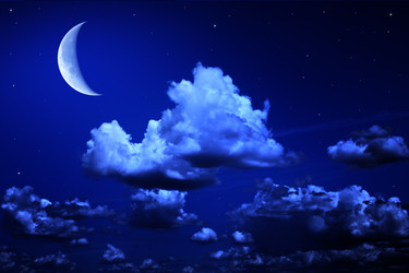 Similar image 7322492