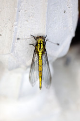 Similar image 7323894