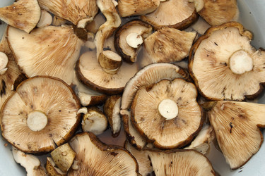 Similar image 7323911