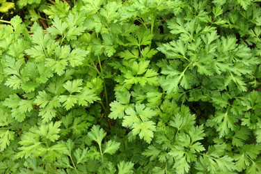 Similar image 7324078