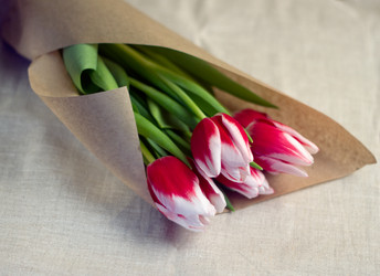 Similar image 7324581