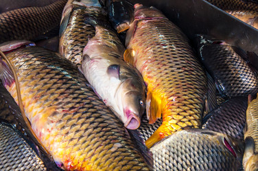 Similar image 7324794