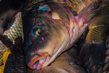 Similar image 7324795