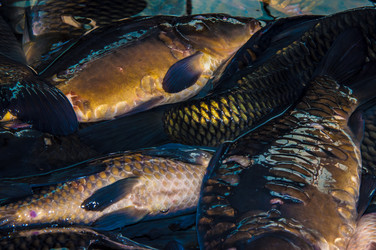 Similar image 7324797