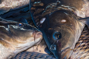 Similar image 7324798