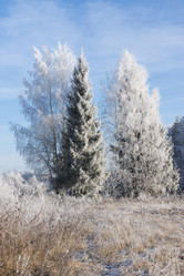 Similar image 7324801