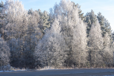 Similar image 7324802