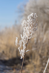 Similar image 7324803