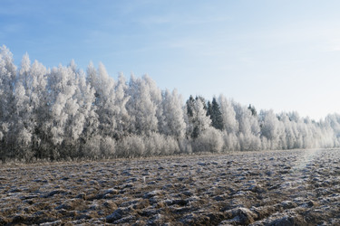 Similar image 7324804