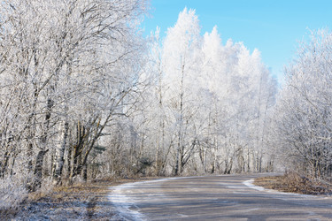 Similar image 7324806